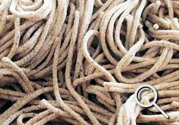 fresh pasta shape Green Buckwheat Spaghettoni from pastiamo